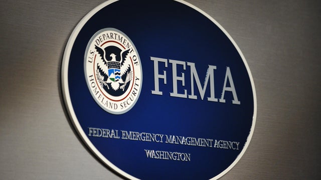 FEMA logo 