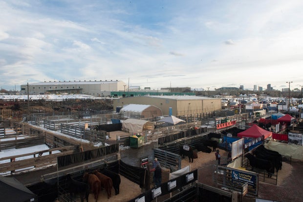 US-CULTURE-STOCK SHOW 