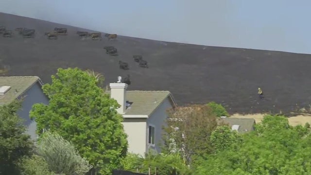 fairfield vista grande fire 