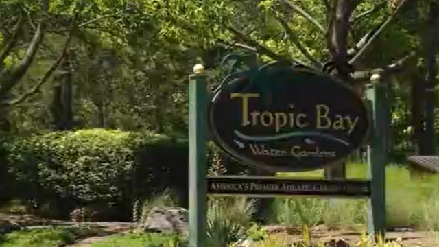 tropic.png 