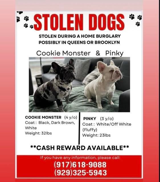 A stolen dogs flyer 