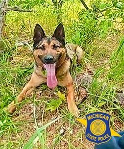 michigan-police-k-9.jpg 