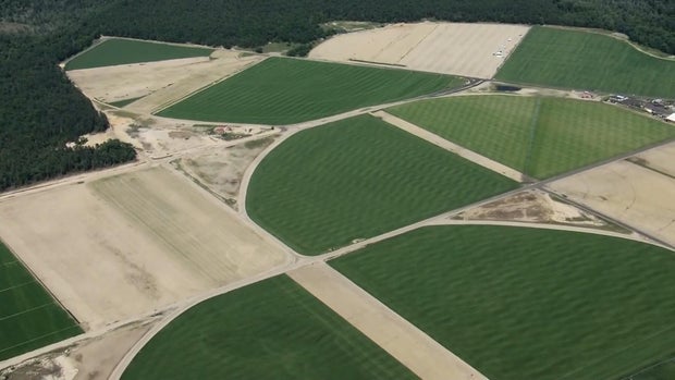 Helicopter shot of fields of grass in various shades of green in New Jersey 
