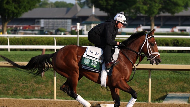 Journalism trains on the track for the 157th running of the Belmont Stakes at Saratoga Race Course on June 5, 2025, in Saratoga Springs, New York. 