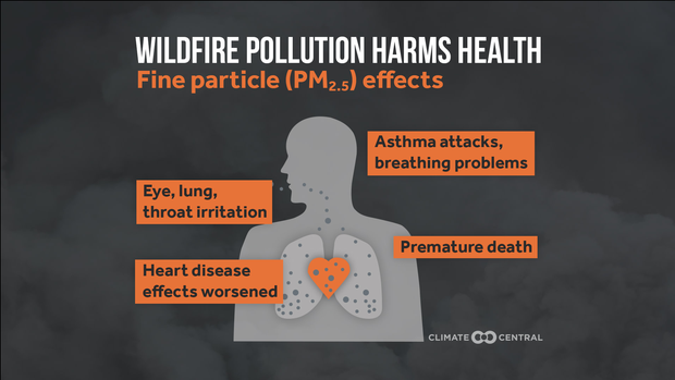wildfire-pollution-health-effects.png 