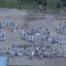 Detainees spell out "SOS" at Florida detention center