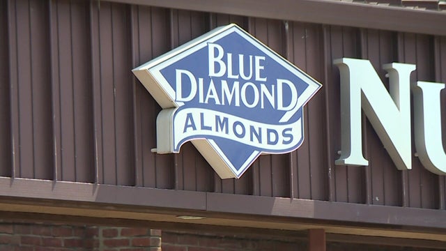 Blue Diamond Almond Products Ahead of Earnings 