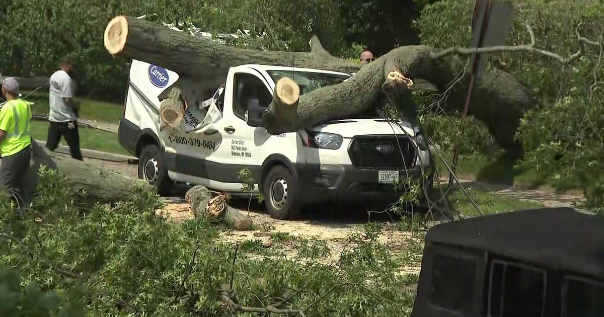 Power outages in New Rochelle, N.Y. after tree section falls 