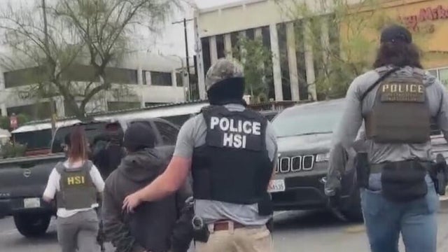 homeland-security-raids.jpg 