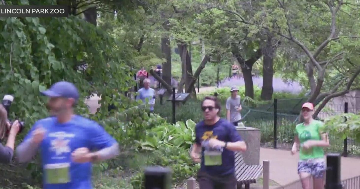Thousands partake in Lincoln Park Zoo's 47th Run for the Zoo 