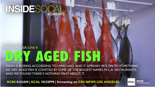 thumbnail-dry-aged-fish-web-gfx.png 