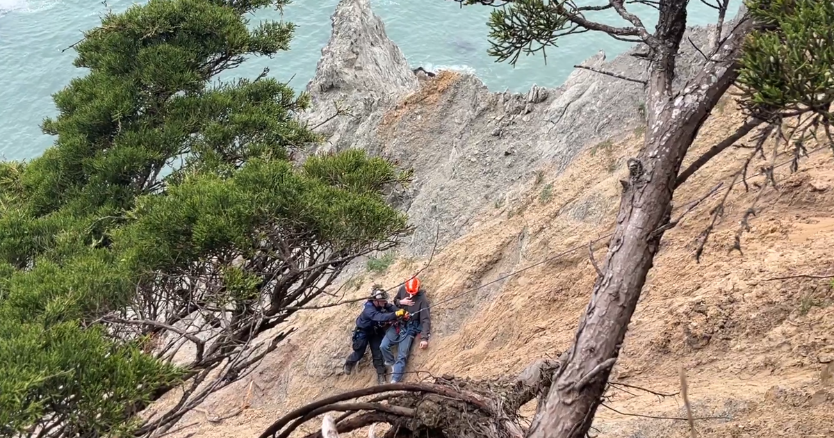 San Francisco tourists rescued from cliffside after trying to get dropped phone 