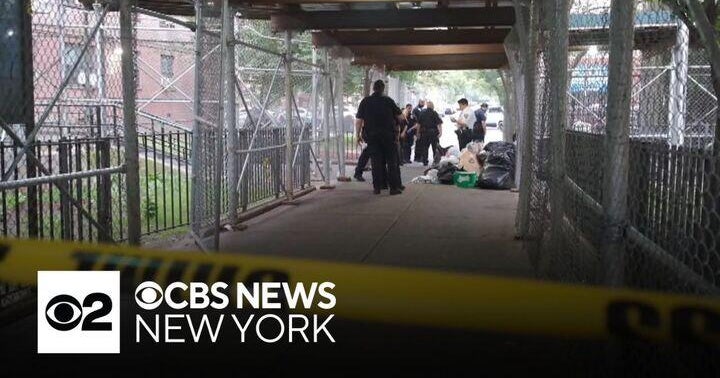 14-year-old girl recovering after being shot in the face in the Bronx ...