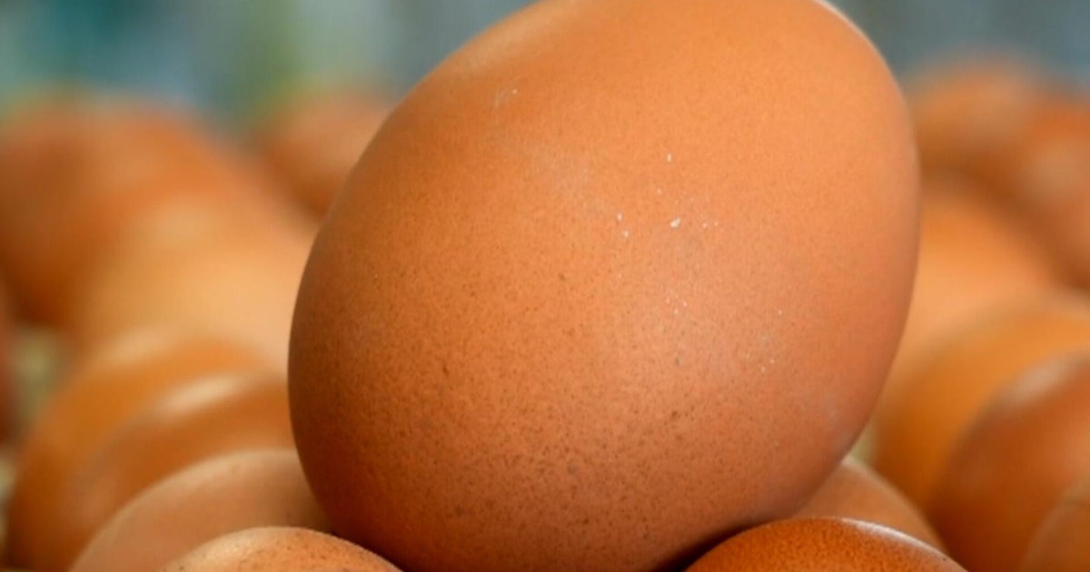 1.7 million eggs recalled over salmonella concerns