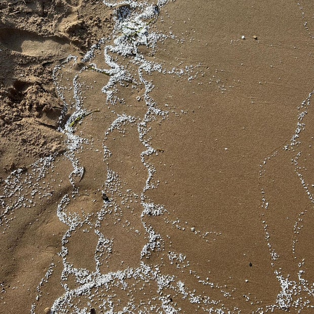 An image posted on social media on June 8, 2025, by the local administration in Guardamar de la Safor, in southern Valencia, Spain, shows an unknown white material littering a local beach