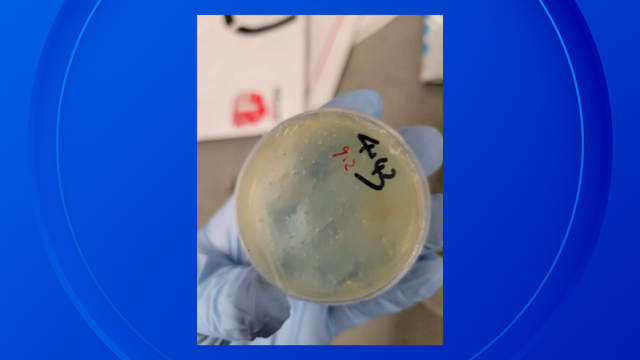 univesity-of-michigan-smuggling-petri-dish.png 