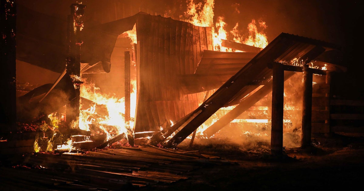 6 horses killed in barn fire in Northwest Chicago suburb 
