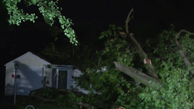 Batavia storm damage 