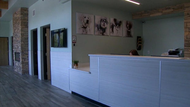 veterinary-hospital.jpg 