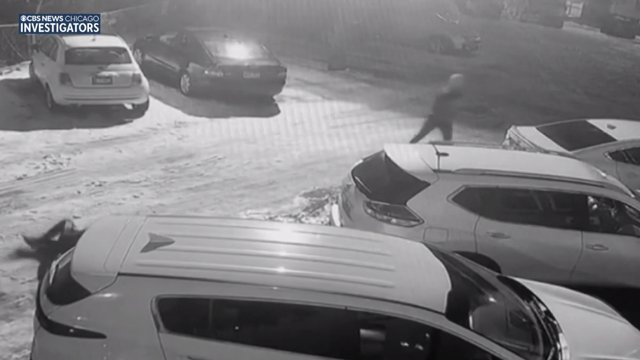 auto-thefts.png 
