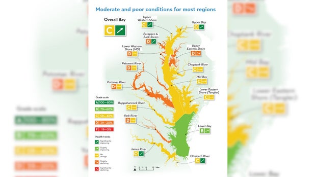 Health Report of the Chesapeake Bay Bay Basin 2025
