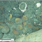 Gold from legendary 1708 shipwreck is seen in new images