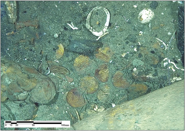 Coins-URN-Cambridge-Org-Id-Binary-2025060082842873-0444-S0003598x25100951-S0003598x25100951-Fig2.png 