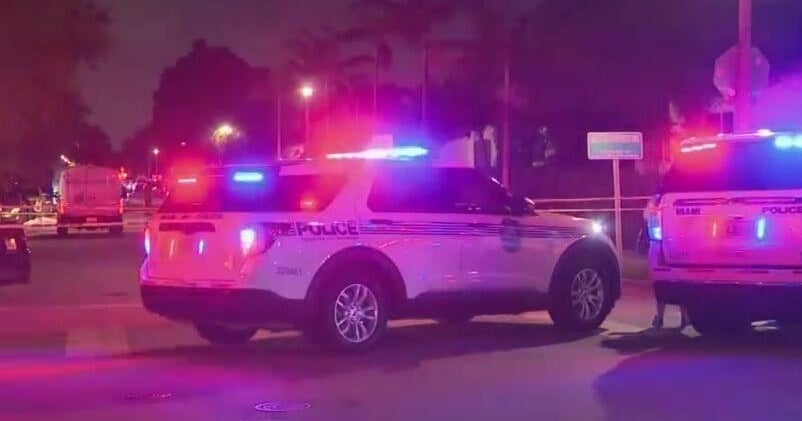 Pedestrian struck and killed near Shenandoah Park