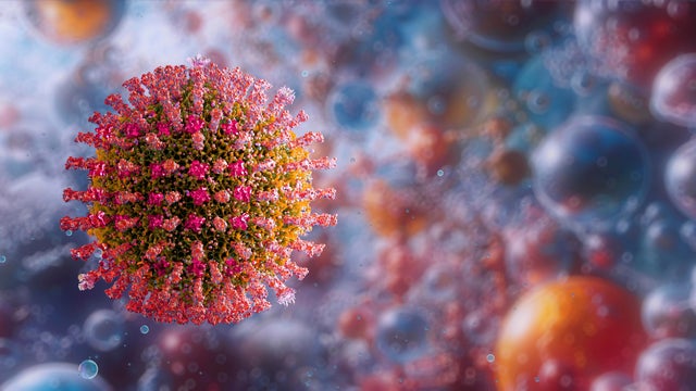 Measles morbilli virus, illustration 