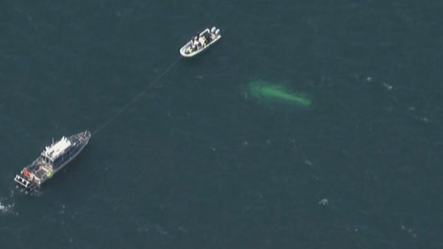 Missing boat 