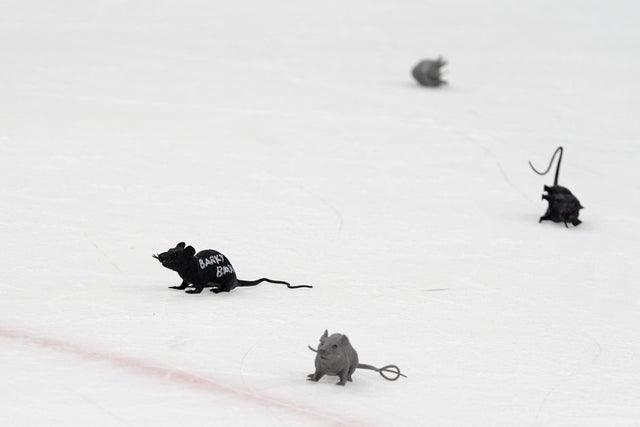 Stanley Cup Panthers Toy Rats Hockey 