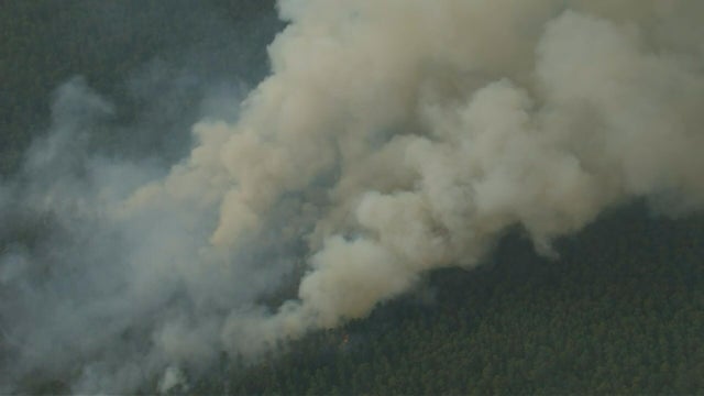 Wildfire burning in Wharton State Forest, New Jersey Forest Fire Service says 