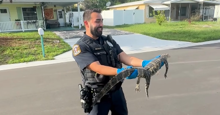 Viral video shows Florida officer from New York Viral video shows Florida officer from New York