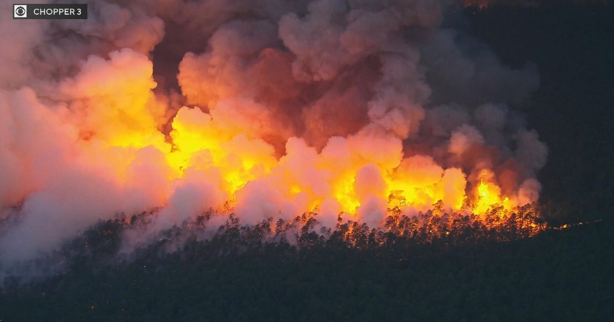 Wildfire burning in New Jersey's Wharton State Forest 