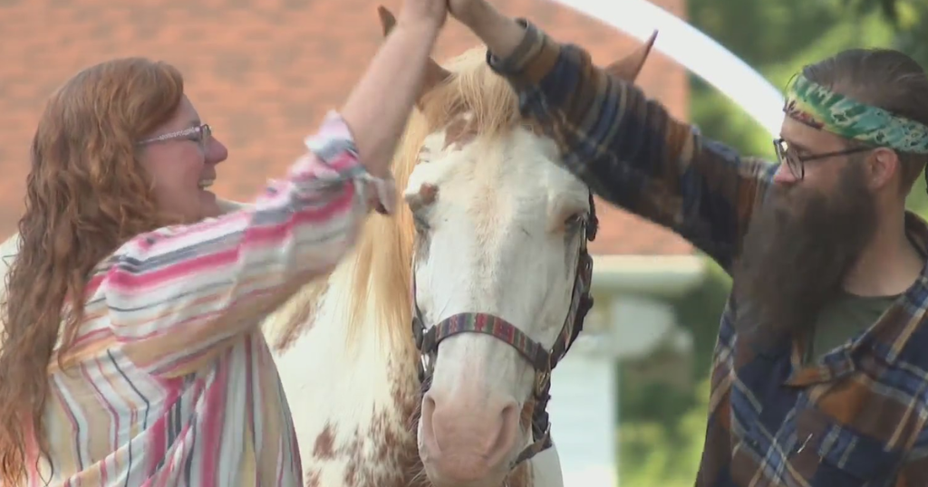 Horses in Hookstown help veterans heal and grow | KD Sunday Spotlight 