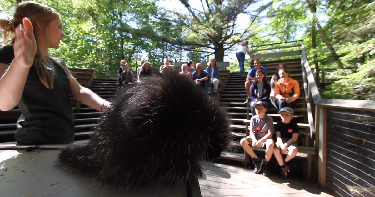 Multiple US Nature Programs Engage Youth in Environmental Education