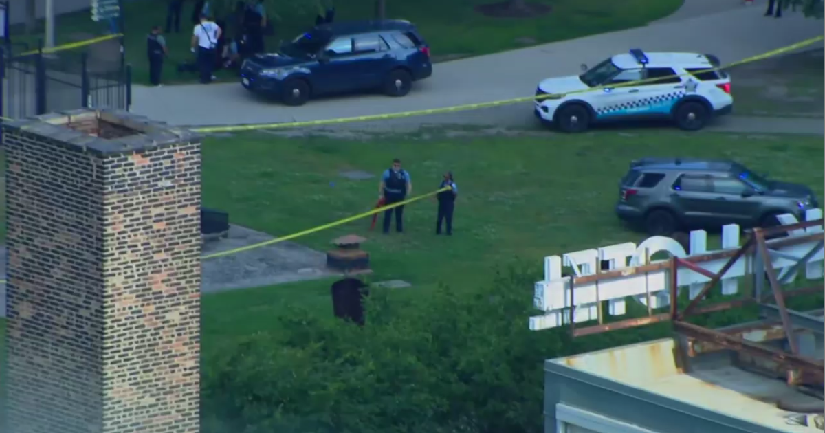 3 men stabbed in Chicago's Grant Park 