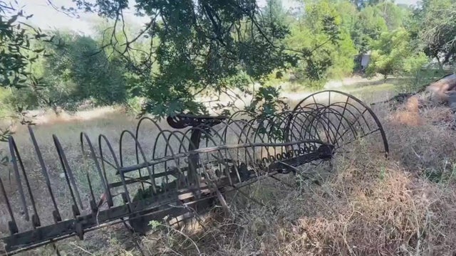 Vegetation Growth in Napa County 