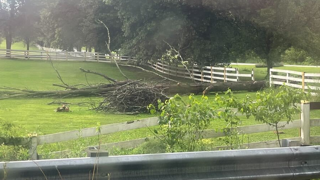 weather-damage.png