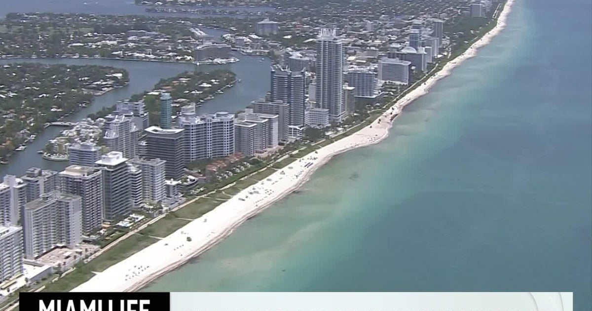 Miami, the place to be and the place to find your true love? | Miami Life Extra