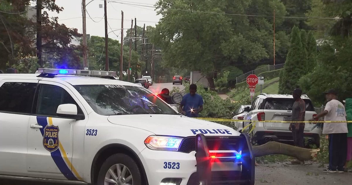 Child among 2 people injured in Philly by fallen trees amid severe weather 