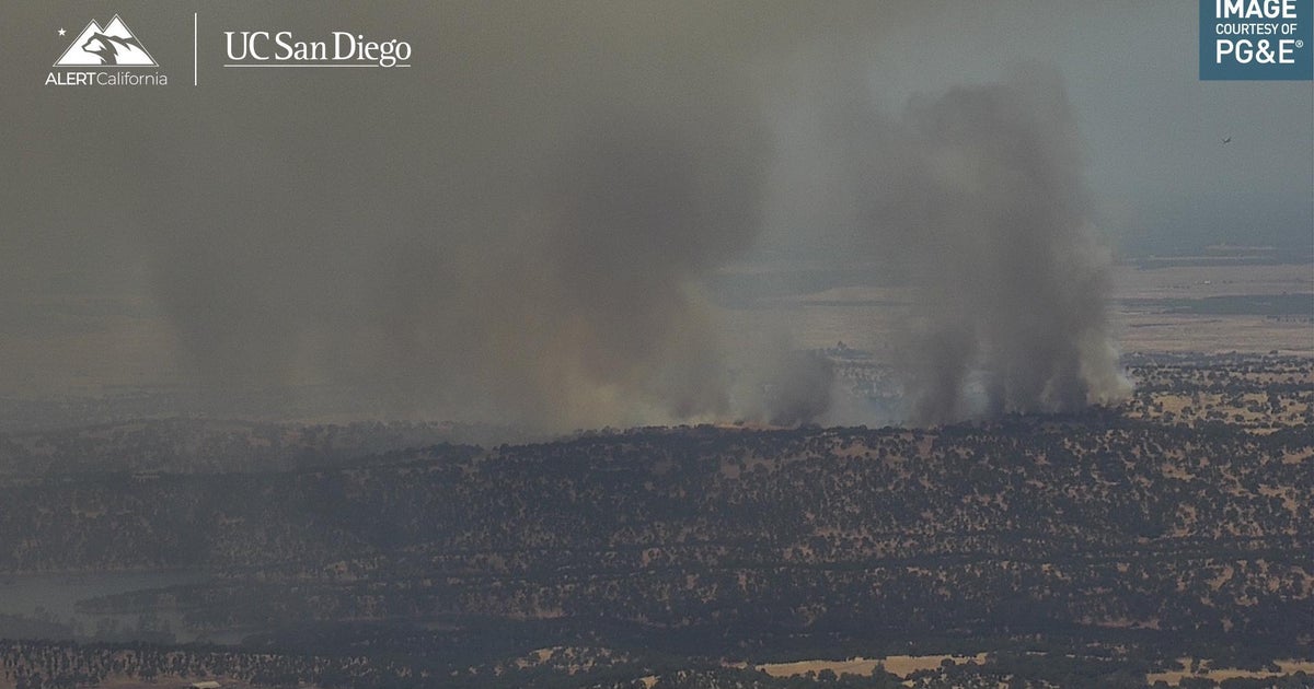 Camino Fire near Don Pedro Reservoir in Tuolumne County burns 100 acres 