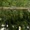Storms knock out power across East Coast as heat wave builds