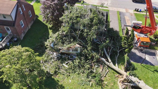 goldner-tree-down-into-house-drone-frame-1847.jpg 