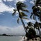 French scientists discover new blood type in Guadeloupe woman