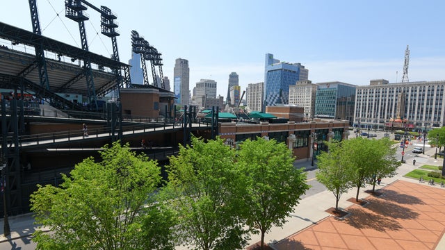 Chicago Cubs v Detroit Tigers 