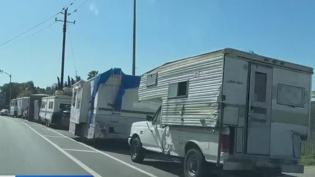 RVs 