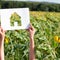 Home equity loan moves homeowners should make this summer