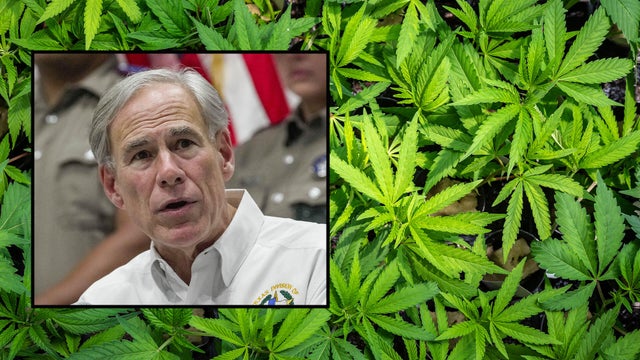 abbott-thc.jpg 