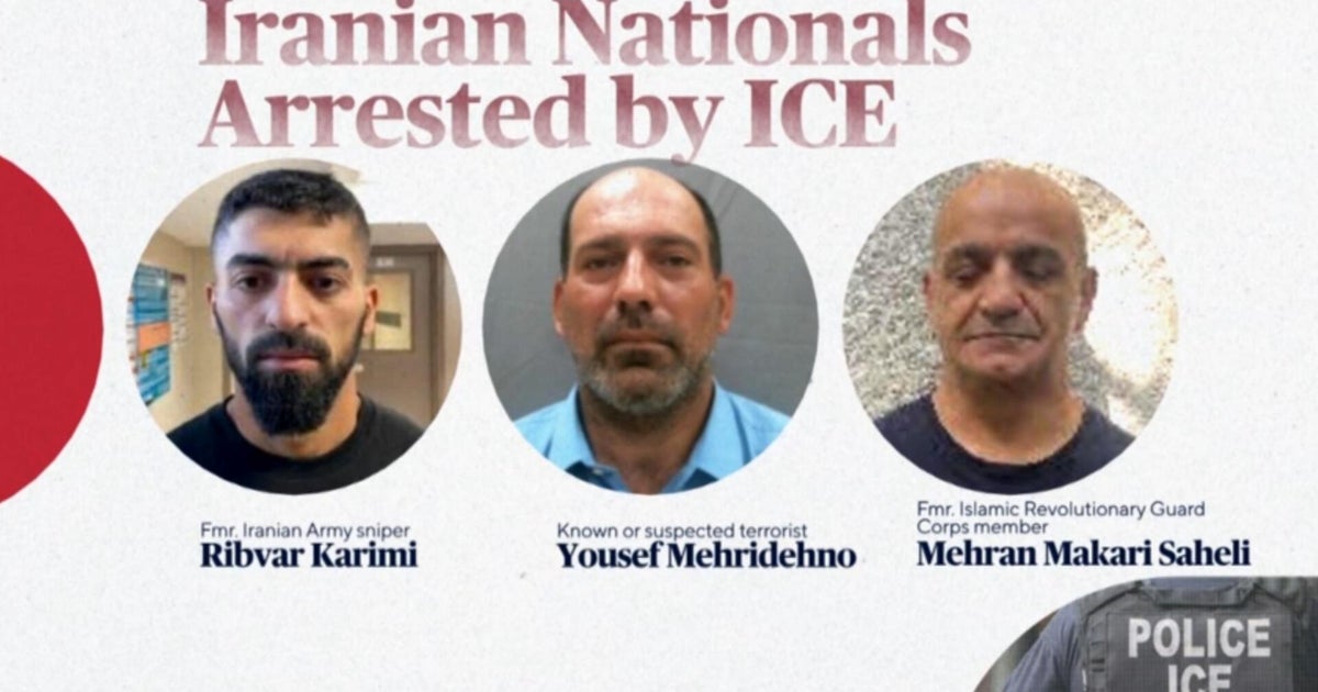 What we know about 11 Iranians arrested by ICE